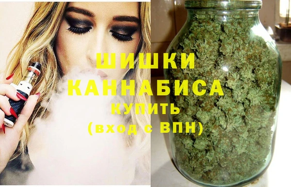 прущие крисы Гвардейск
