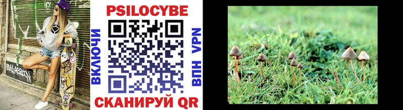 Галлюциногенные грибы Magic Shrooms  Звенигород 