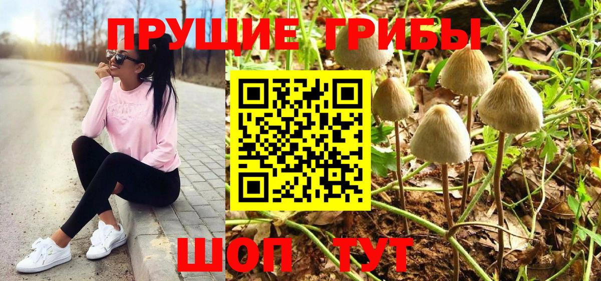 Звенигород  цена наркотик  Вход с VPN  Псилоцибиновые грибы Psilocybe  Галлюциногенные грибы Psilocybine cubensis 